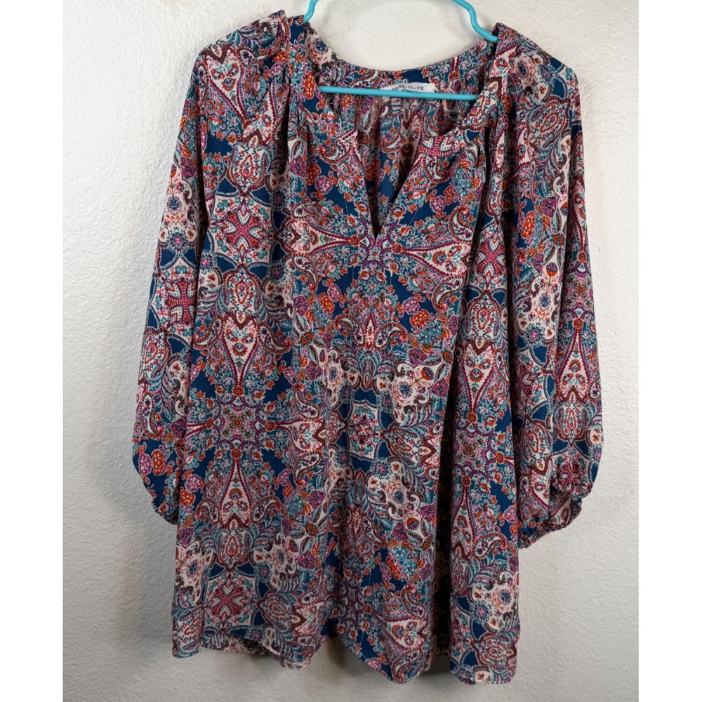 Rose and Olive Women's Top Multicolor Sz 1X Pullover Floral Paisley Boho